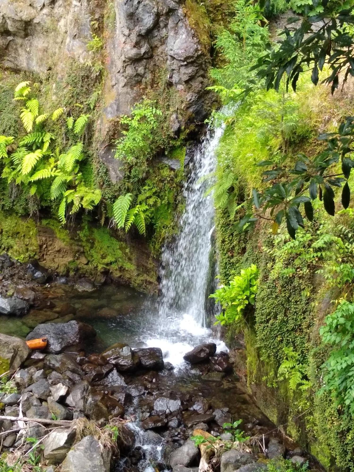 Pousada Da Vila Vila Franca do Campo Dış mekan fotoğraf