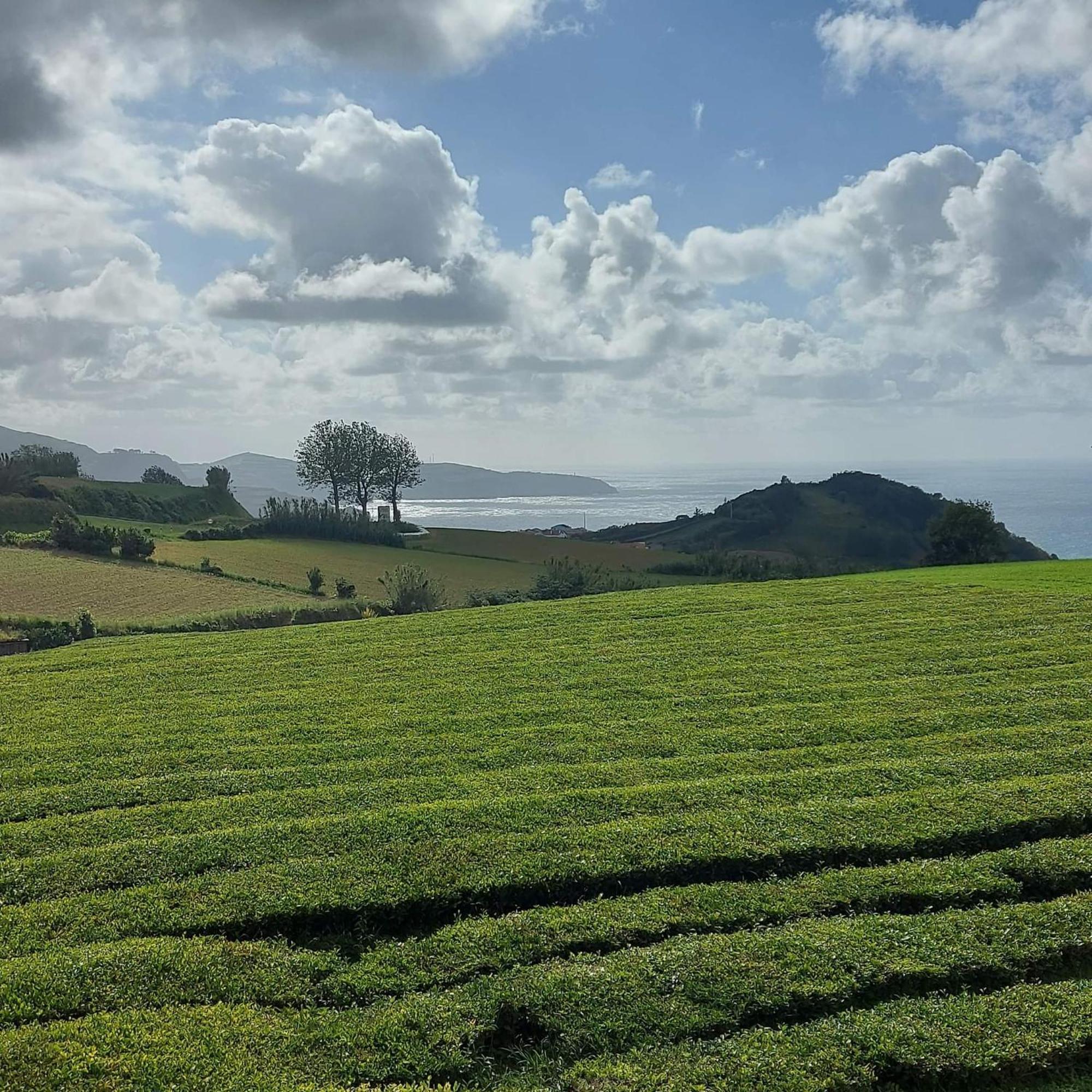Pousada Da Vila Vila Franca do Campo Dış mekan fotoğraf